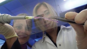 3D打印機制出人造血管