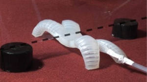 新型軟體機器人