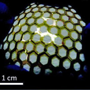 能夠感受外部觸摸的電子皮膚