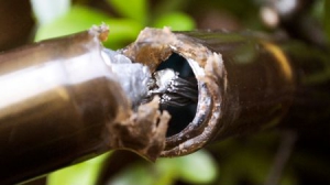 具有自我修復(fù)功能的電路