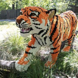 樂高動(dòng)物園