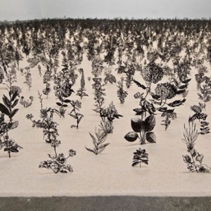 精美的金屬植物園