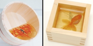 亦真亦幻的三維金魚畫