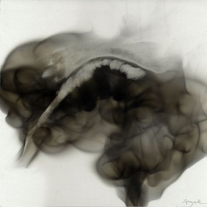 不可思議的煙熏畫