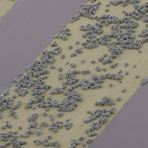 自我修復(fù)電池