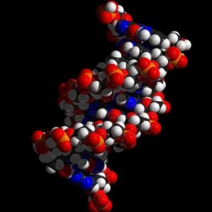 DNA納米技術制成世界上最小的火車