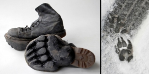 五花八門的足跡鞋