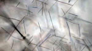 可消除污染的建筑外表面