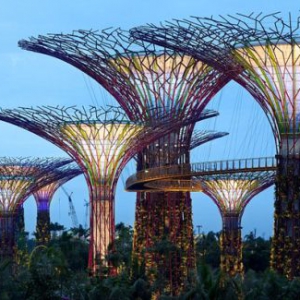 宏偉的人工樹林