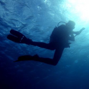 水下也可使用的太陽能電池板