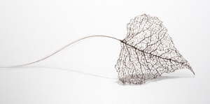 細如絲的頭發(fā)樹葉