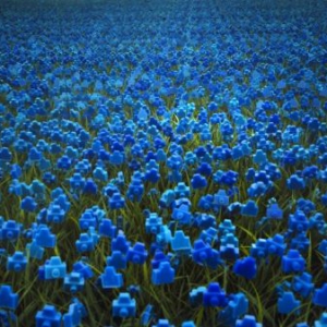 鮮艷的小相機花叢