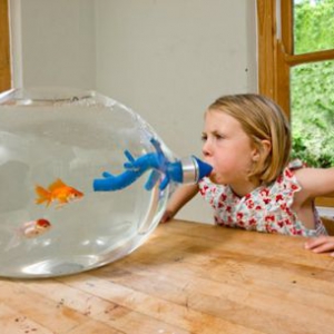 五花八門的魚缸集錦