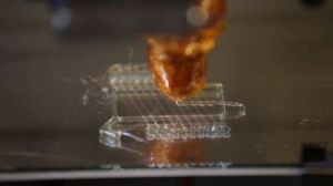 人造血管網(wǎng)