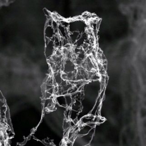 目前世界上最輕的材料