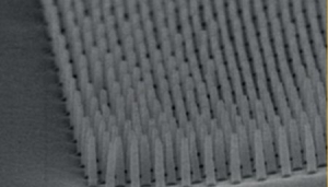 讓機(jī)器也有觸覺的電子毛發(fā)“皮膚”