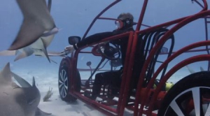 大眾甲殼蟲之海底鯊魚觀光車