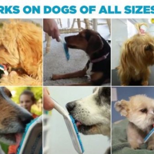 狗狗口腔護(hù)理舌刷