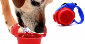 便攜狗狗飲水碗