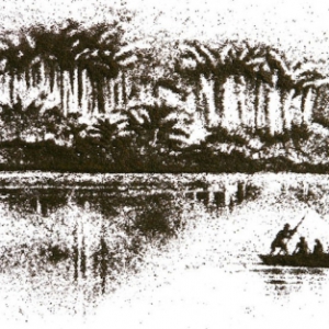 優(yōu)美茶畫之印象