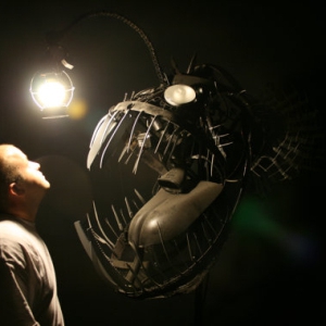 驚悚安康魚模型