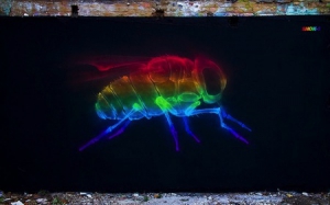 X光風(fēng)格的街頭涂鴉