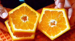 五邊形橘子