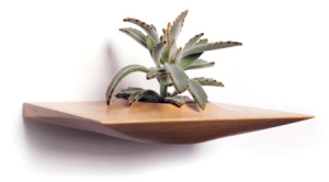 漂亮的植物托盤