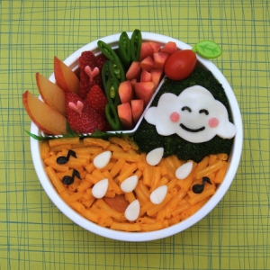 賞心悅目的營(yíng)養(yǎng)午餐