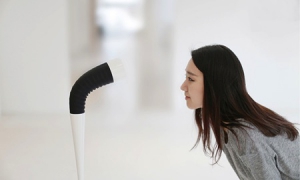 識(shí)別面容的情感機(jī)器人