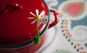 美麗的鍋沿小花