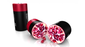 大容量“石榴”電極電池