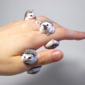 萌呆的動(dòng)物戒指