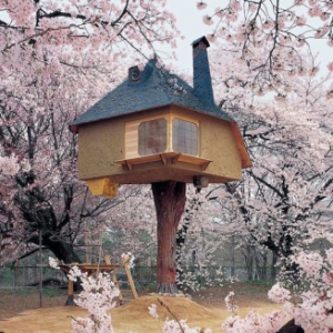 被櫻花所圍繞的美麗樹房子