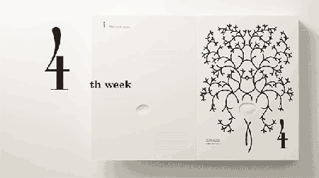 趣味懷孕日記本