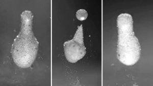 讓水滴瞬間“凝固”的神奇粉末