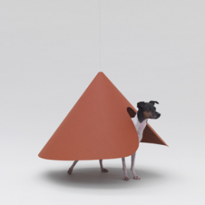 為狗狗設(shè)計(jì)的建筑