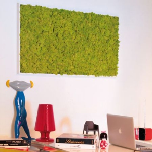 室內(nèi)青苔壁掛