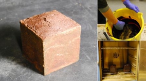 新型建筑材料——血磚