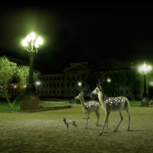 夜間熒光安全貼片