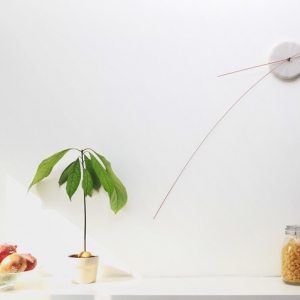 優(yōu)雅的觸須掛鐘