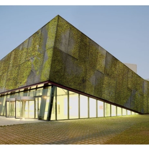 適合藻類生長(zhǎng)的有機(jī)生物混凝土