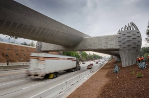 奇異的花籃橋墩