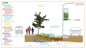 全美最綠色街道