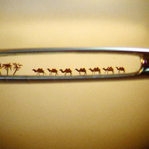 穿過針眼的駱駝