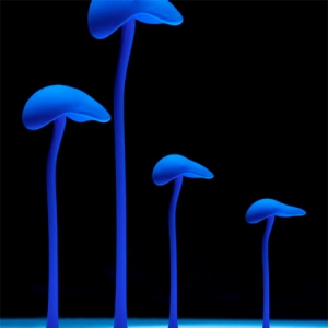 滴落的水中畫(huà)