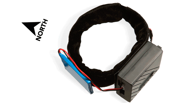 腳踝上的振動指南針