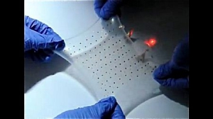 可拉伸的柔性鋰電池