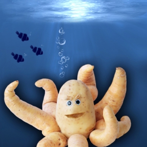 食物世界之萌寵動物集錦