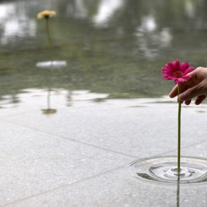 透明的漣漪花瓶